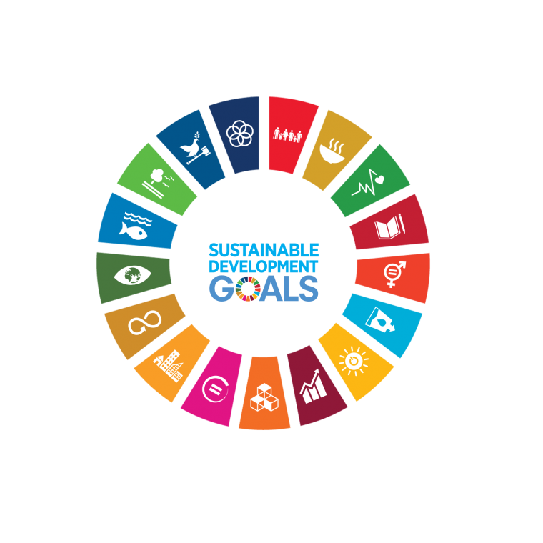 sdg_-_wheel_-_smaller_2